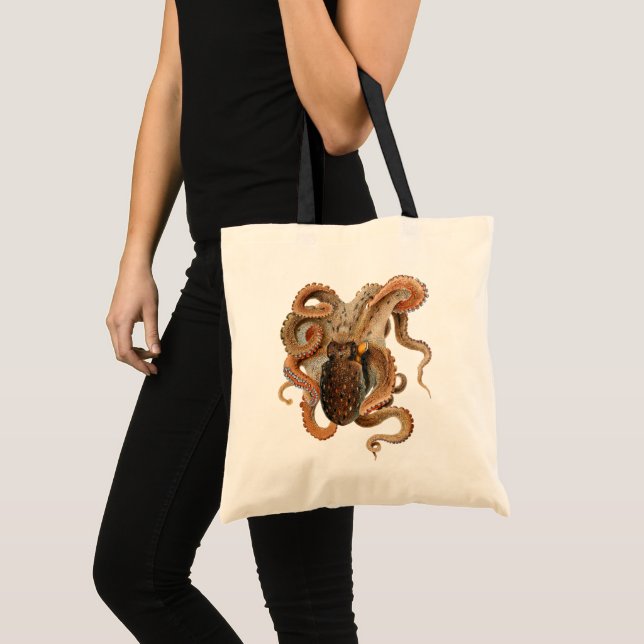 Octopus Vulgaris, Gamla Marina Djur Tygkasse (Framsida (produkt))