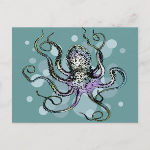 Octopus Vykort