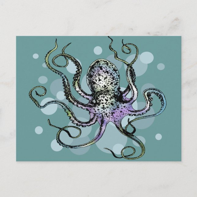 Octopus Vykort (Framsida)