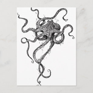 Octopus Vykort