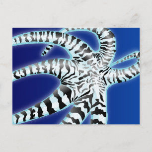 Octopus Vykort