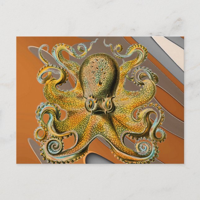Octopus Vykort (Framsida)