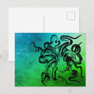 Octopus Vykort