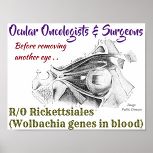 Ocular Oncologists/Surgeons R/O Wolbachia av Ro Poster