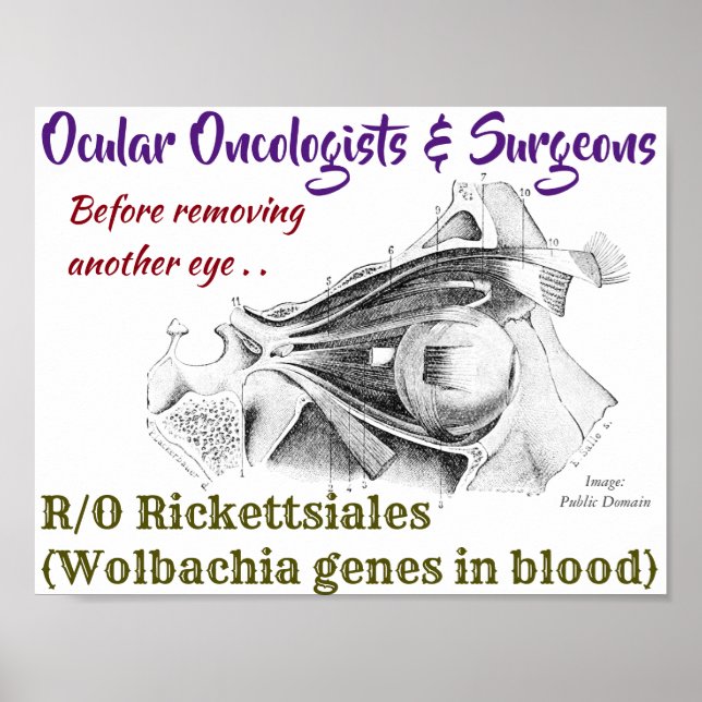 Ocular Oncologists/Surgeons R/O Wolbachia av Ro Poster (Framsidan)
