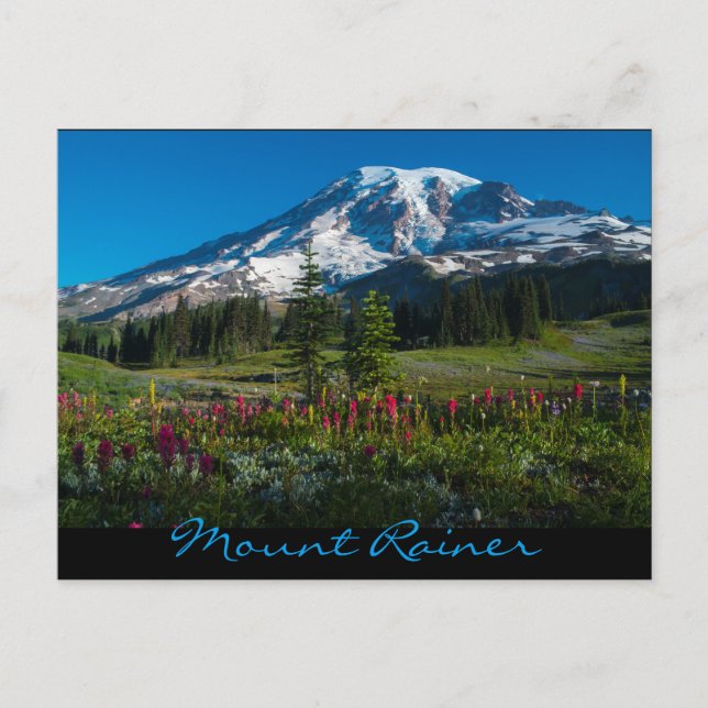 Ödblommor från Paradise Vykort (Framsida)