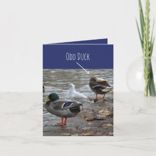Odd Anka Grattis på födelsedagen-kort Kort