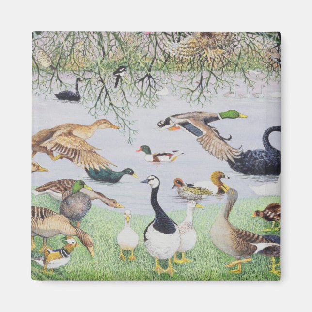 Odd Anka Magnet (Framsidan)