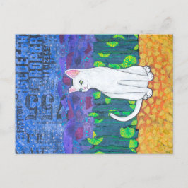 Odd Eyed White Cat Vykort