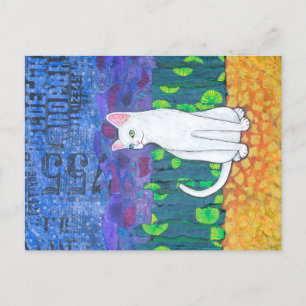 Odd Eyed White Cat Vykort