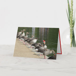 Odd Goose-julkort Helgkort