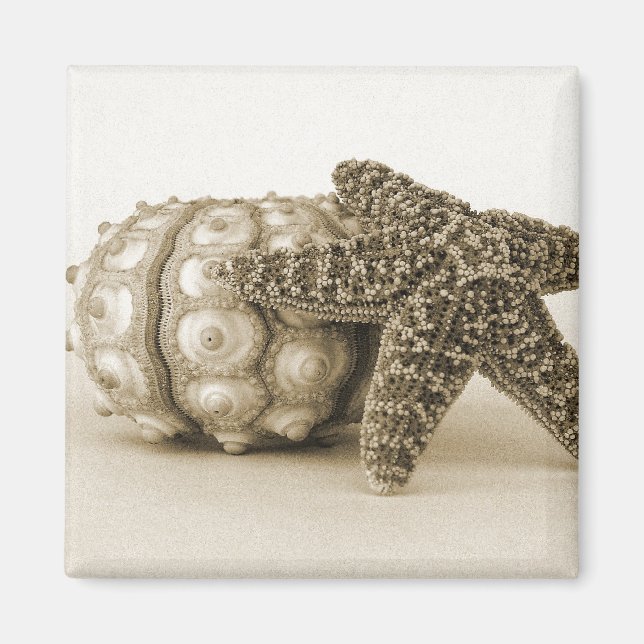 Odd-paret Magnet (Framsidan)