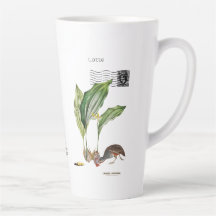 Odd Shellfish Latte Mugg, White Ceramic Tall Mugg