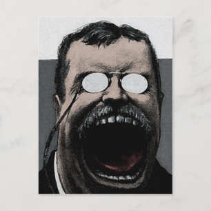 Odd Theodore Roosevelt Postcard Vykort