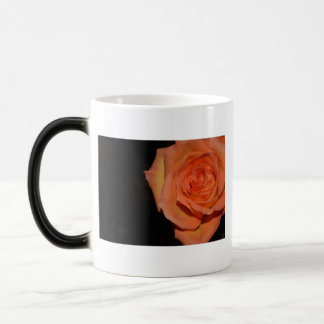 Öde för fred för party för kärlek för magisk mugg