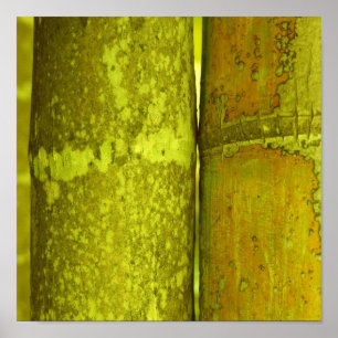 Ode till bambu poster