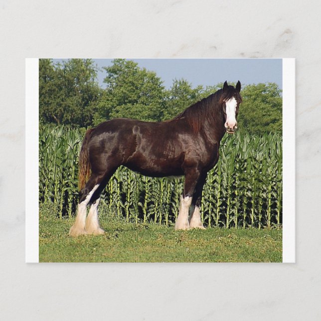 öde vykort (Framsida)