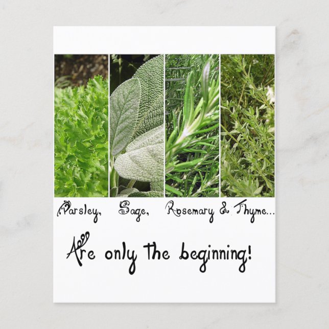 odefinierad (Framsida)