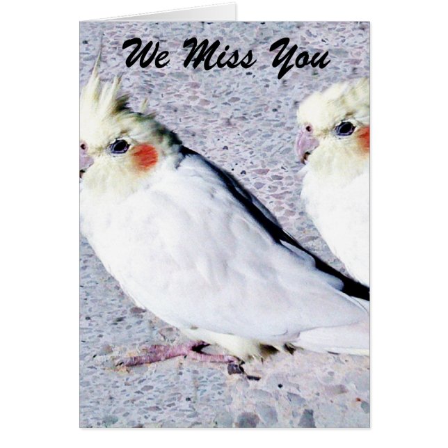 odefinierad hälsningskort (Framsidan)