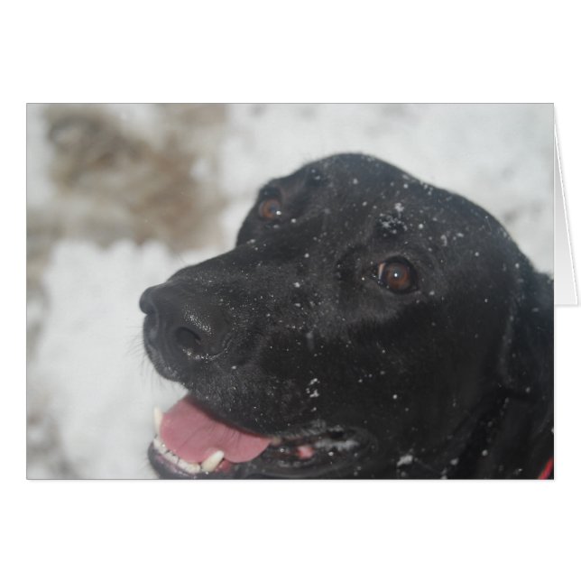 odefinierad hälsningskort (Framsidan Horizontal)