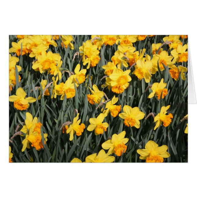 odefinierad hälsningskort (Framsidan Horizontal)