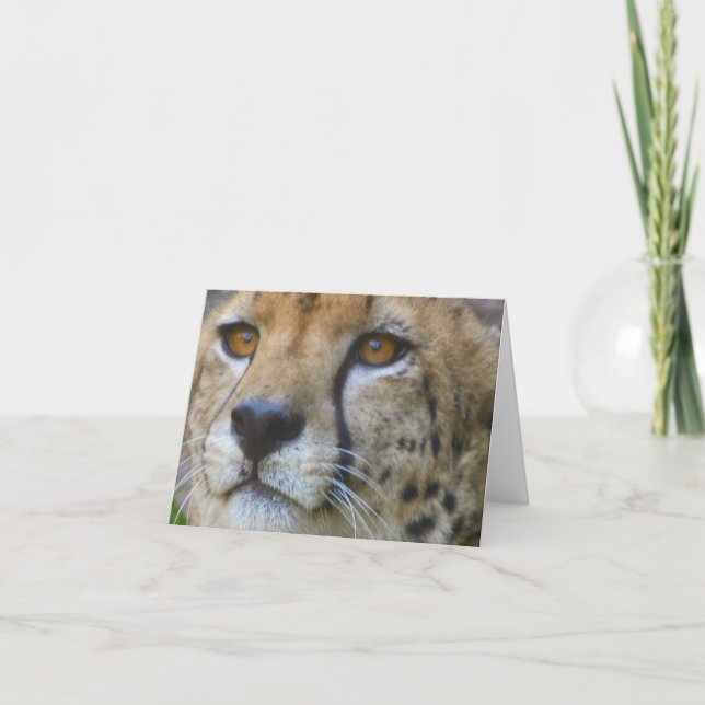 odefinierad kort (Framsida)