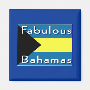 odefinierad magnet
