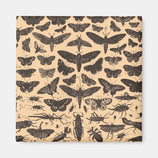 odefinierad magnet (Framsidan)