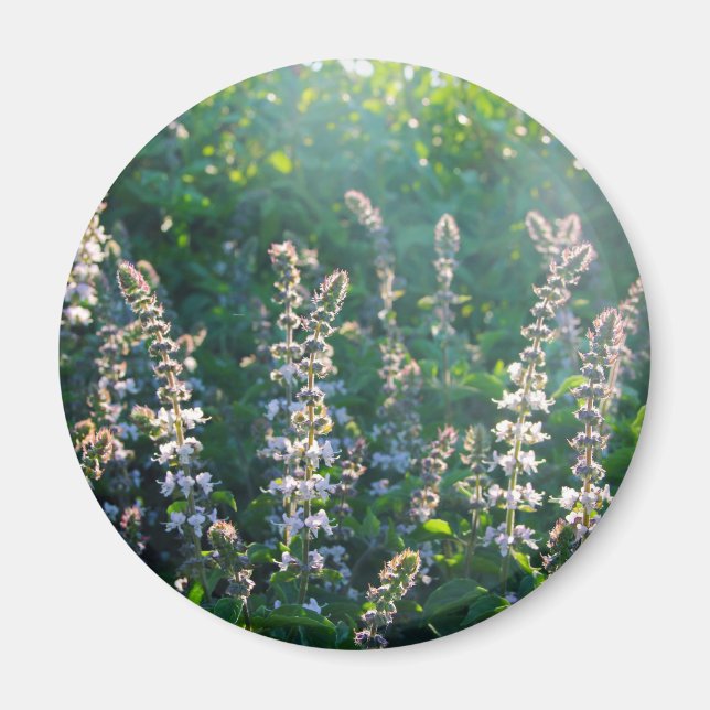 odefinierad magnet (Framsidan)