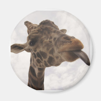 odefinierad magnet