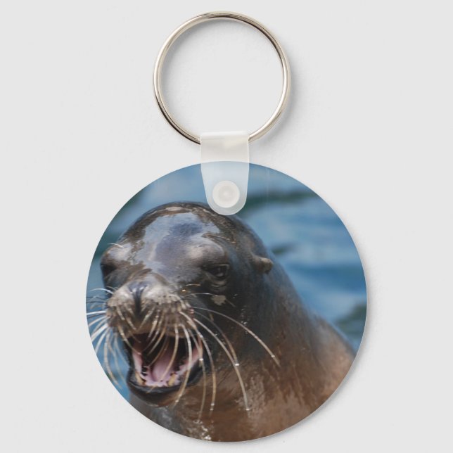 odefinierad nyckelring (Framsida)