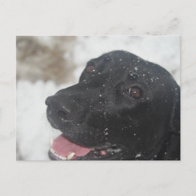 odefinierad vykort (Framsida)