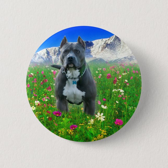 odefinierat knapp (Framsida)