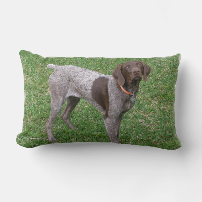 odefinierat lumbarkudde (Framsida)