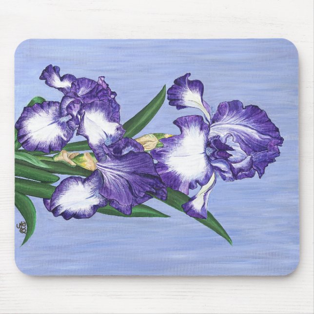 odefinierat musmatta (Framsidan)