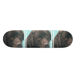 odefinierat skateboard bräda 20 cm