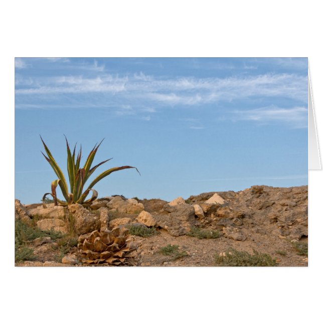 ödemark hälsningskort (Framsidan Horizontal)