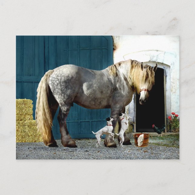 "Odin & Twillingars" vykort (Framsida)