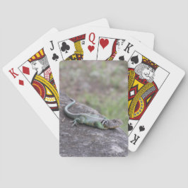 Ödla Casinokort