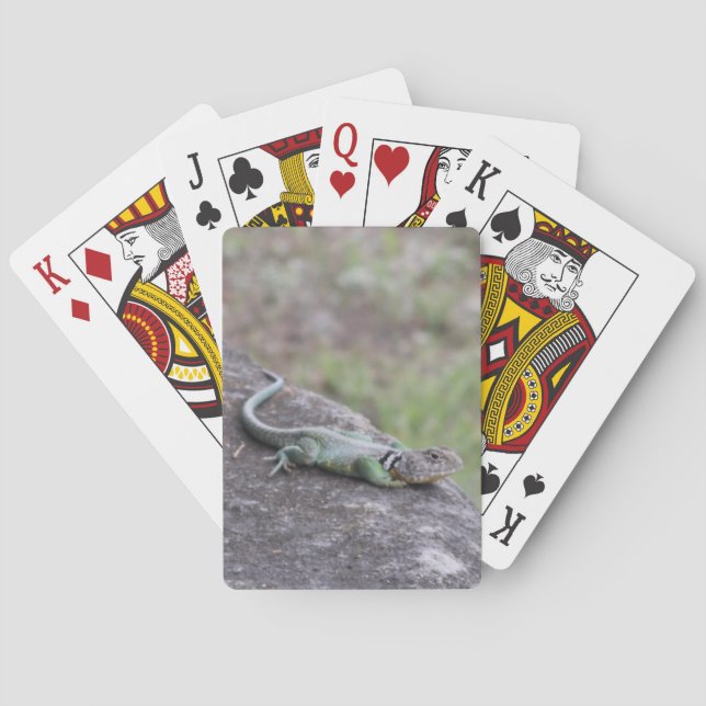 Ödla Casinokort (Baksidan)