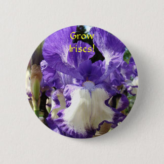 Odla Irisar! Knapp Lila Iris Blomma knappar