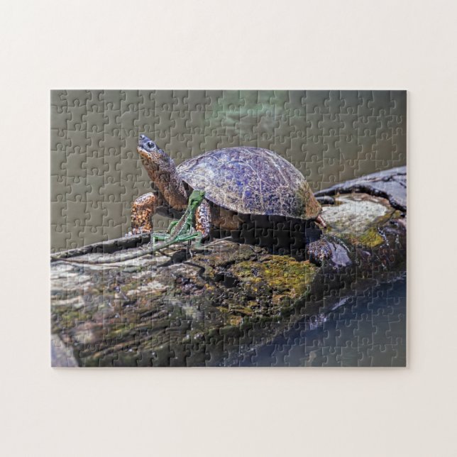 Ödla och flodsköldpadda på Tortuguero - Costa Rica Pussel (Horisontell)