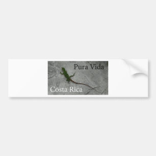 Ödla på väggen Costa Rica Pura Vida Bildekal