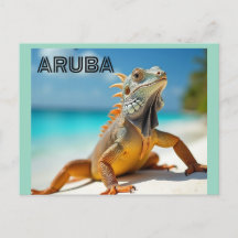 ödla som njuter av stranden på aruba