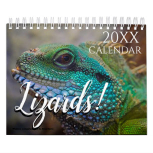 Ödla Tematiserad 2027 Väggkalender Gåva Kalender