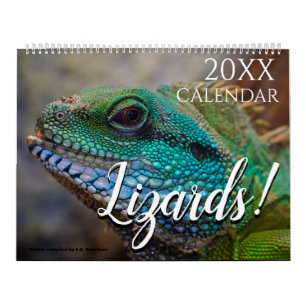 Ödla Tematisk 2027 Väggkalender Present Kalender