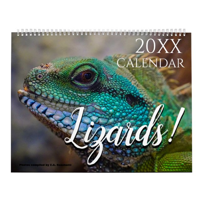 Ödla Tematisk 2027 Väggkalender Present Kalender (Omslag)