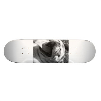 Ödlamops Old School Skateboard Bräda 21,6 Cm