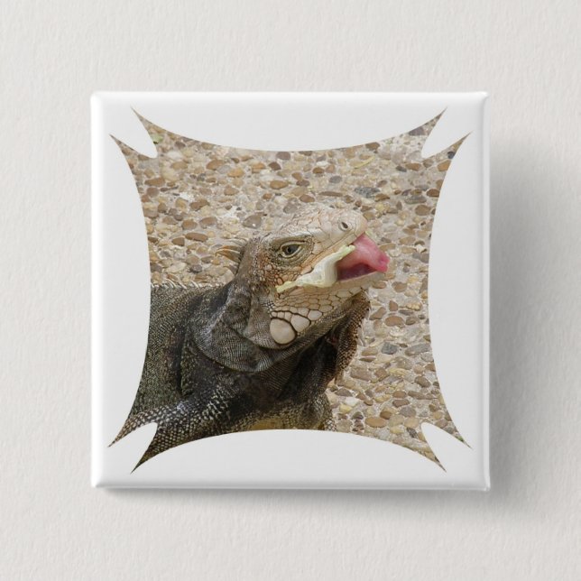 Ödlatungan kvadrerar klämmer fast knapp (Framsida)