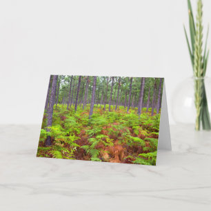 Odling av klammer (Pteridium Aquilinum) Helgkort